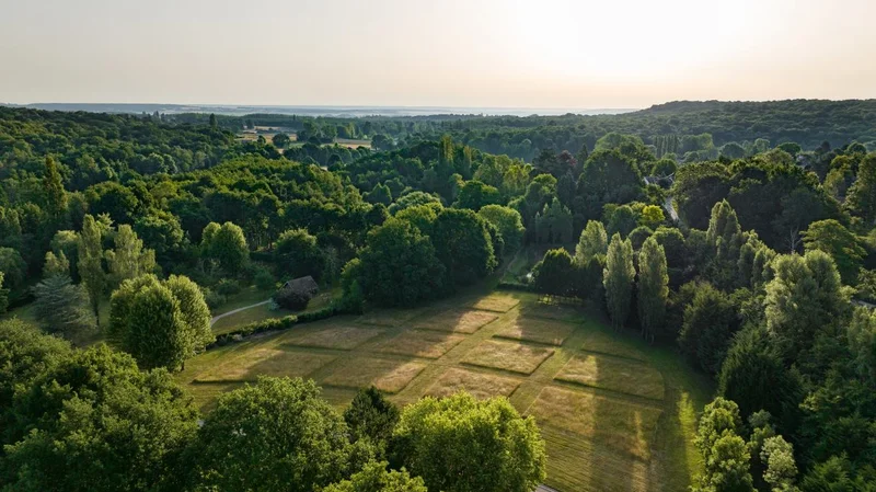 Randonnée Grosrouvre entre Clairière et Forêt Royale · Grosrouvre