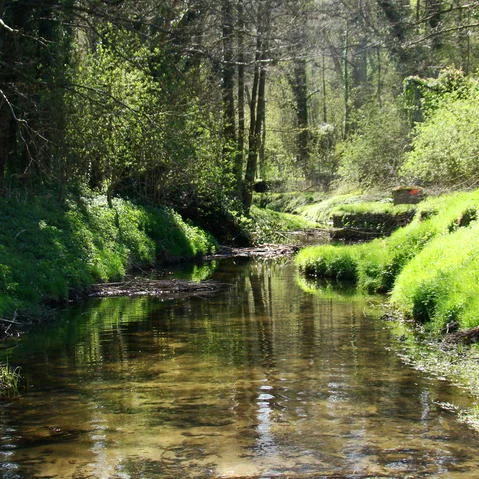 Randonnée Les Coteaux de l'Yvette · Lévis-Saint-Nom