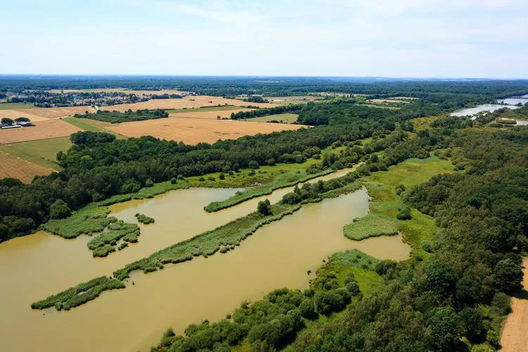Randonnée Observation aux étangs royaux · Le Perray-en-Yvelines