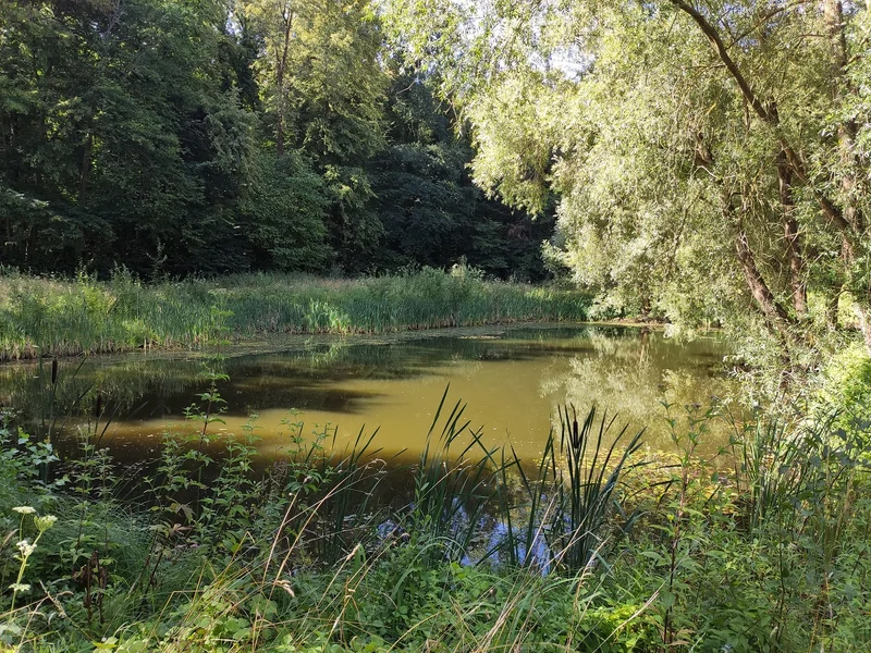 Randonnée Sentier de la Biodiversité · Verneuil-en-Halatte