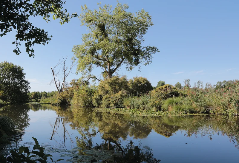 Randonnée La Haute vallée de l'Essonne · Buthiers