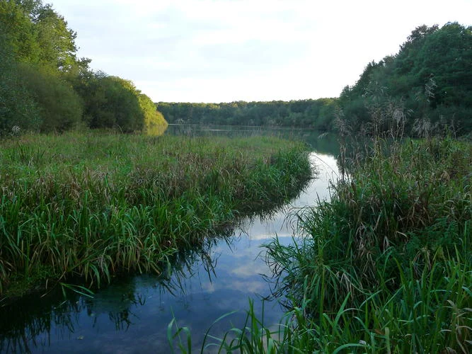 Randonnée Les rigoles du Roi Soleil · Le Perray-en-Yvelines