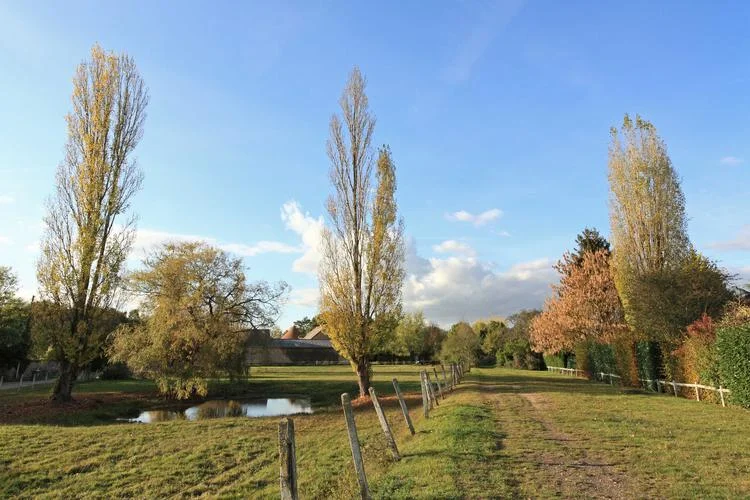 Randonnée La vallée du Ru des Vaux entre Cernay et Senlisse · Cernay-la-Ville