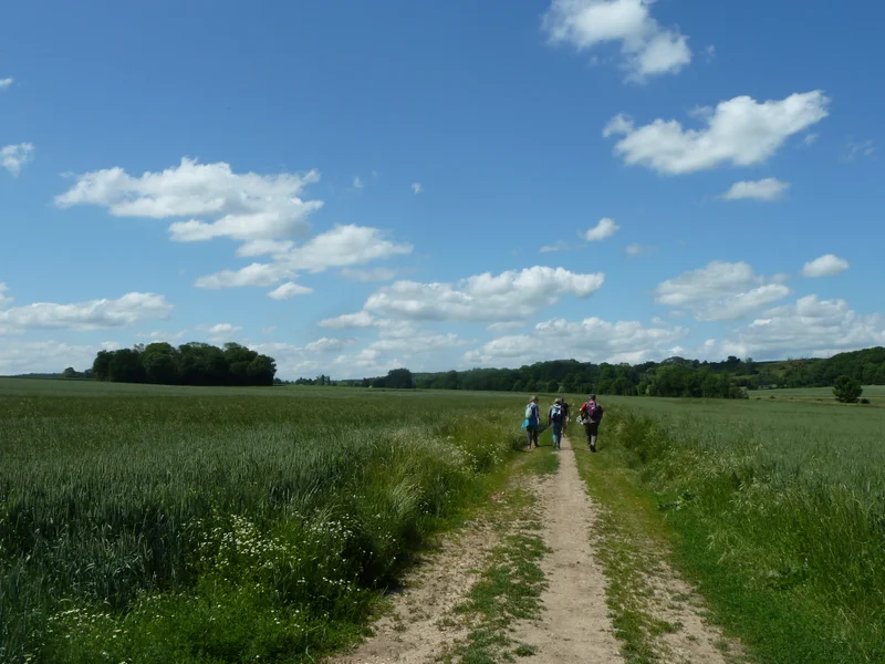 Randonnée Les environs de Théméricourt · Théméricourt