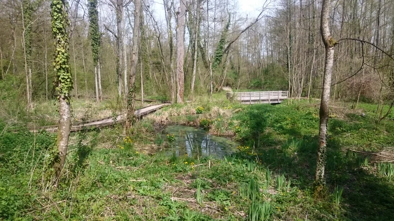 Randonnée R4 - Chemin de fer, chemin et de terre · Chars