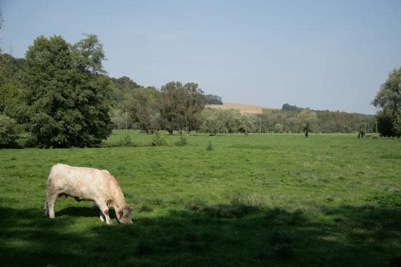 Randonnée V3 - Coteaux et abords de l'Epte (0) · Vexin-sur-Epte