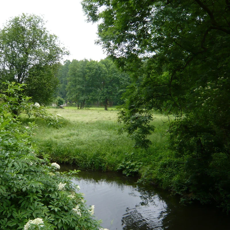 Randonnée Fosses - Bellefontaine, " En pays de France" · Fosses