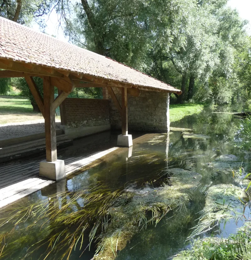 Randonnée Mont-l’Évêque, un village lié à sa forêt · Mont-l'Évêque