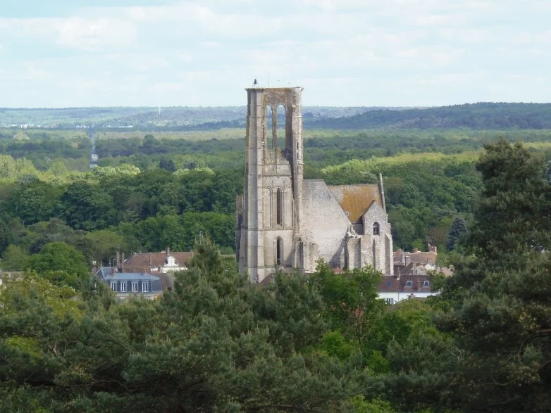 Randonnée A la recherche du vieux Larchant · Larchant