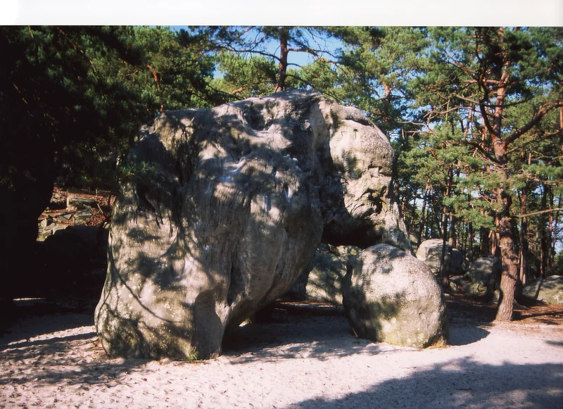 Randonnée Boucle de randonnée de Larchant (0) · Larchant