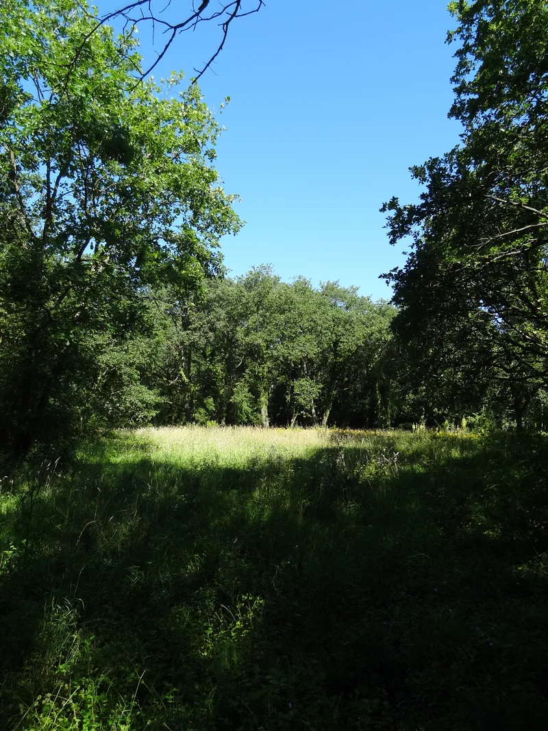 Randonnée La Traversée du Vexin - De Vétheuil à Mantes-la-Jolie · Vétheuil