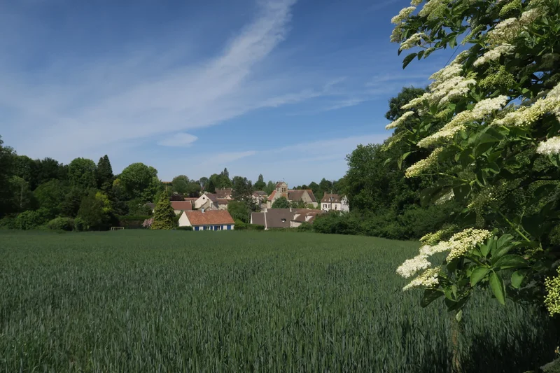 Randonnée Sentier du patrimoine de Wy-dit-joli-village · Wy-dit-Joli-Village