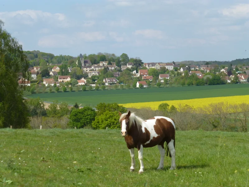 Randonnée Autour de la Bernon · Jambville