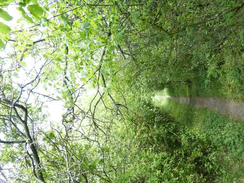 Randonnée Sentier d'interprétation de la Réserve naturelle nationale des Coteaux de Seine · Chérence