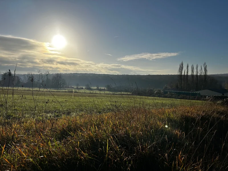 Randonnée Sentier Blanche de Castille · Seugy