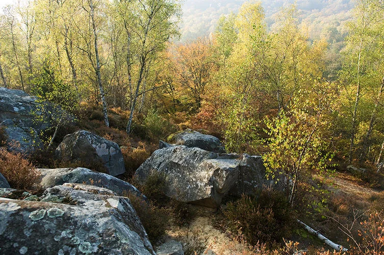 VTT Reliefs et grès des vaux de Cernay · Senlisse