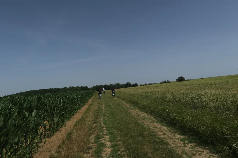 VTT Balade sur le plateau agricole · Théméricourt