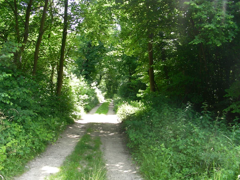 VTT Bois d'en haut (0) · Grisy-les-Plâtres