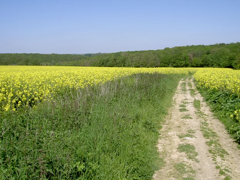 VTT La Vallée · Vallangoujard