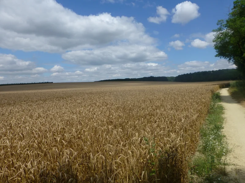 VTT Les Muettes · Pontoise