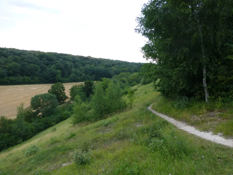 VTT Bois de la Tour du Lay · L'Isle-Adam