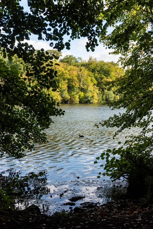 Vélo de route A vélo, de Chantilly aux étangs de Comelles · Chantilly