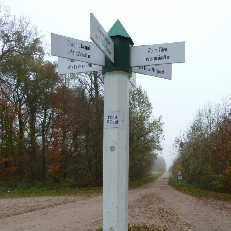 Vélo de route Liaison Senlis-forêt d'Halatte (V2) · Senlis