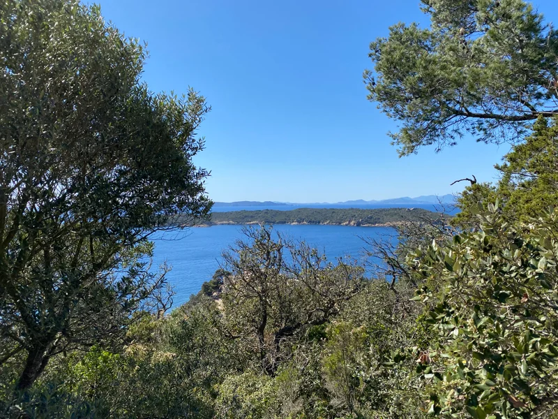 Randonnée Port-Cros - Sentier des écrivains · Hyères