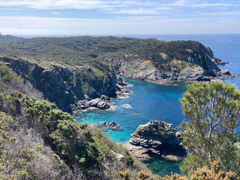 Randonnée Porquerolles - Circuit des crêtes (centre) · Hyères