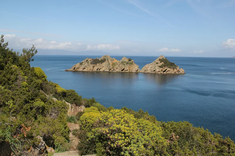 Randonnée Port-Cros - Sentier des plantes · Hyères