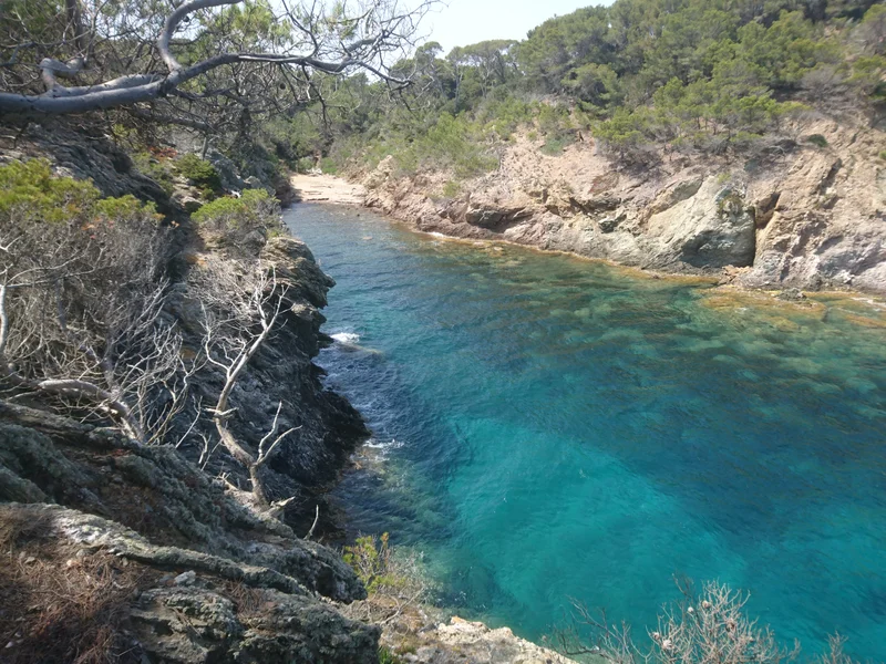 Vélo de route Porquerolles - Circuit du Levant à vélo · Hyères
