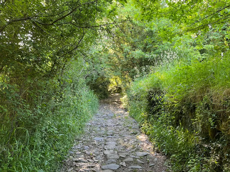 Randonnée Les Palombières (82) · Saint-Pé-d'Ardet