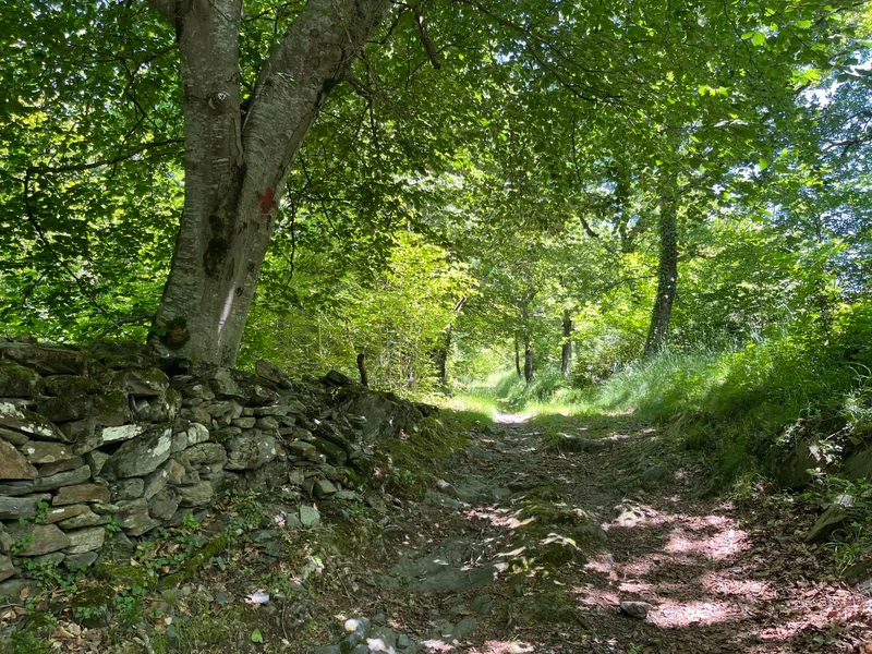 Randonnée La chapelle d'Esputs (83) · Chaum