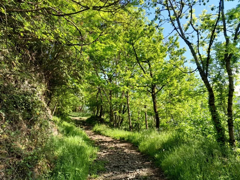 Randonnée Le col de Pradets (61) · Moustajon
