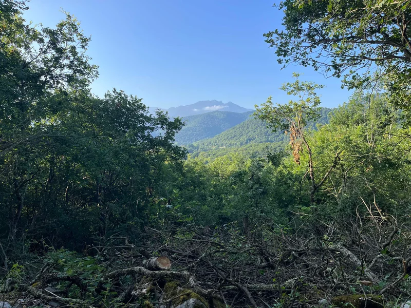 Randonnée Le col Lauach (89) · Cier-de-Rivière