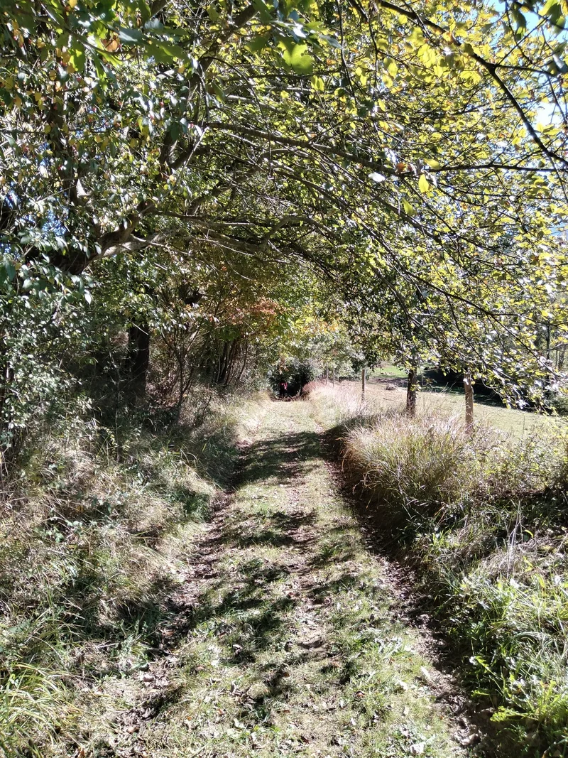 VTT Ombre et lumière autour de Ganties (22) · Ganties