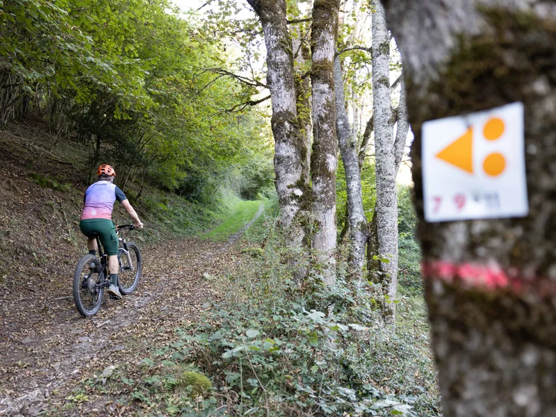 VTT Les Romanes (11) · Bagnères-de-Luchon