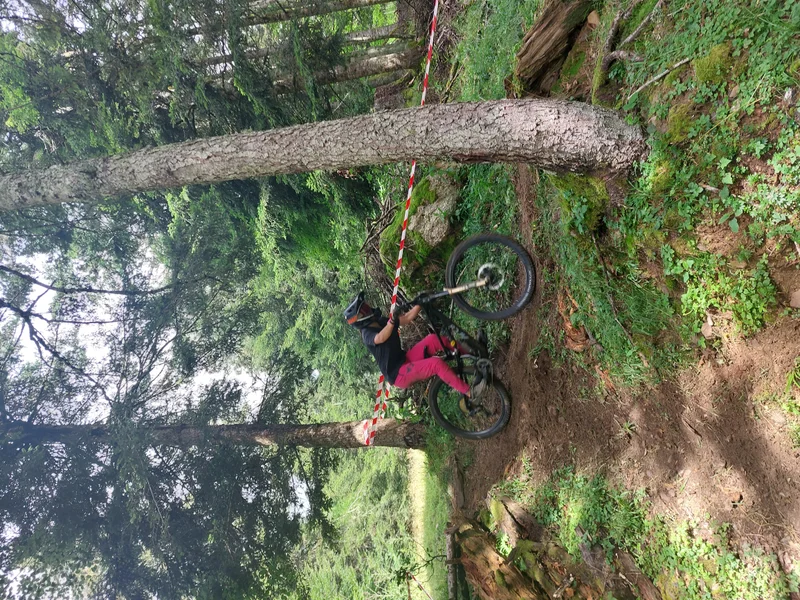 VTT La lièvre · Boutx