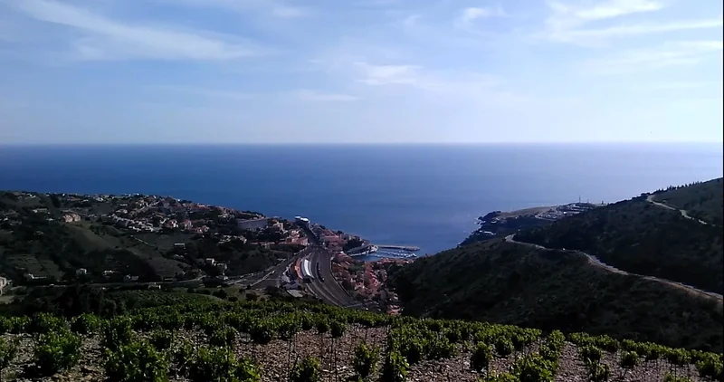 Randonnée Le Chemin de la Frigoulette · Cerbère