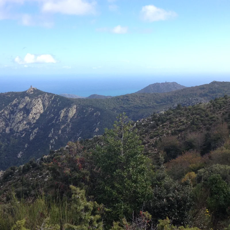 Randonnée Tour de la Massane- Pic des Quatre Termes (par le GR10) · Argelès-sur-Mer
