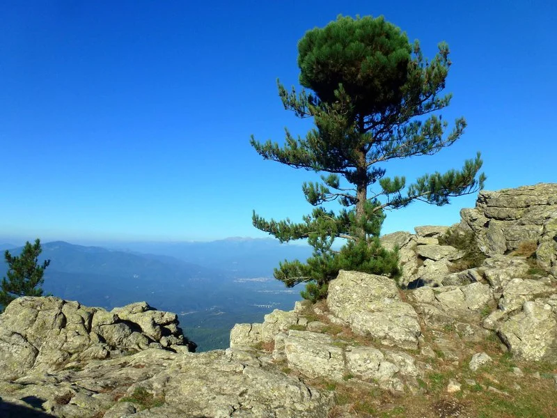 Randonnée Col de l'Ouillat - Pic Néoulous · L'Albère