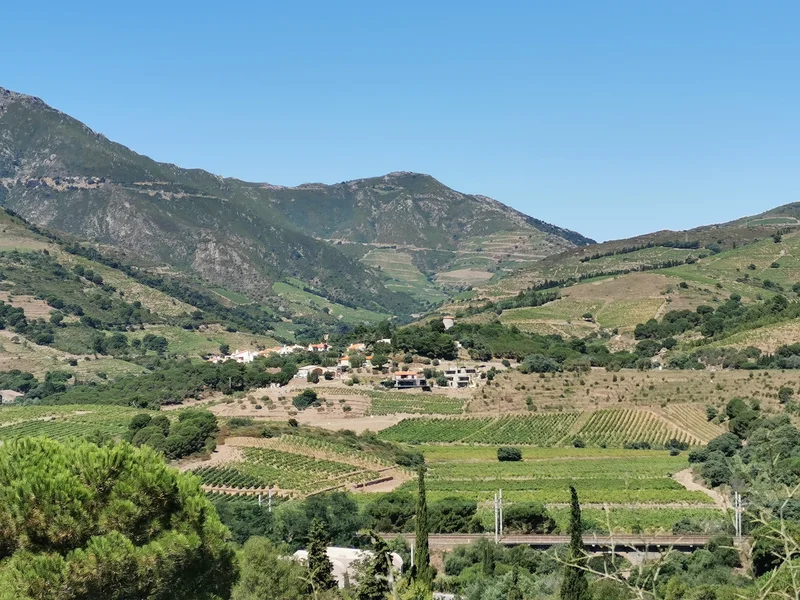 Randonnée Randonnée dans les vignes · Port-Vendres