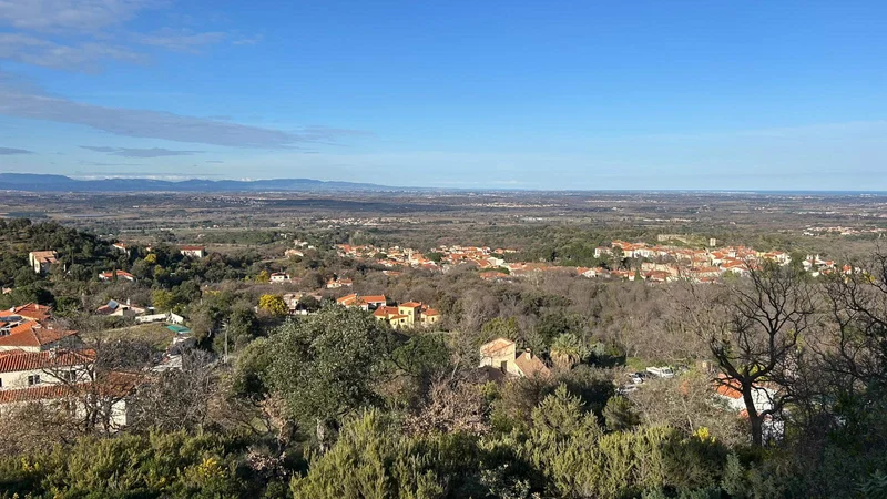 Randonnée Sentier botanique de Montesquieu-des-Albères · Montesquieu-des-Albères