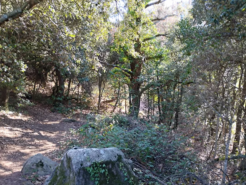 Randonnée Boucle du Prieuré Santa Maria del Vilar par le Mas del Pou · Villelongue-dels-Monts