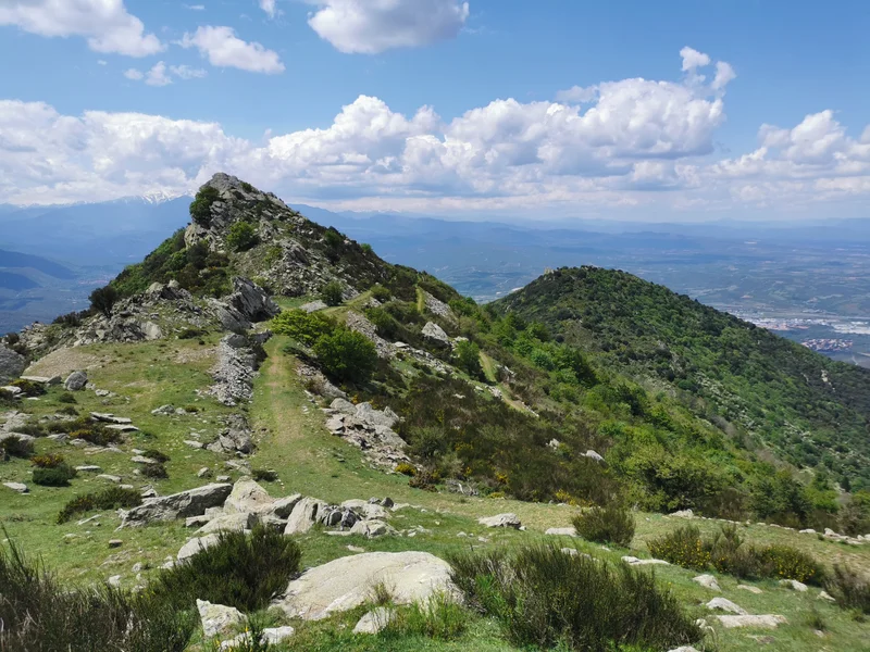 Randonnée Col de l'Ouillat - Pic Sant Cristau · L'Albère