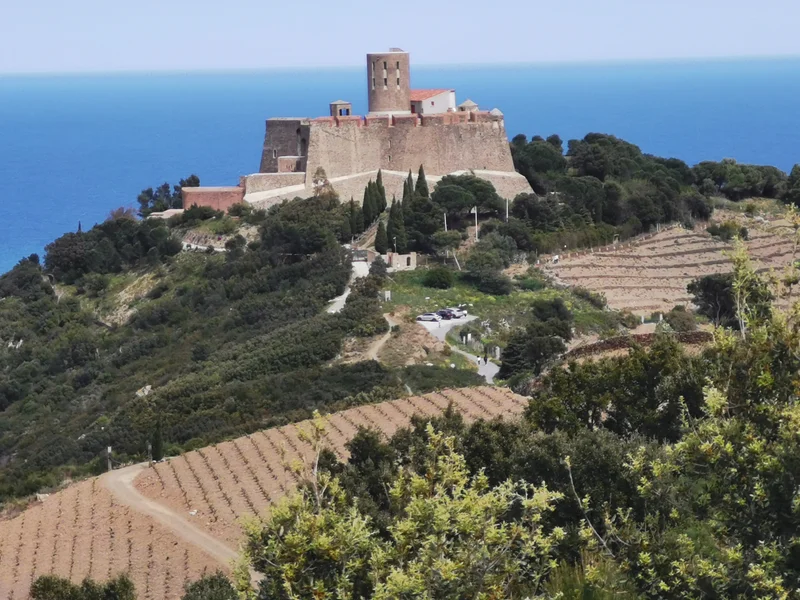 Randonnée De Port-Vendres au fort Saint-Elme · Port-Vendres