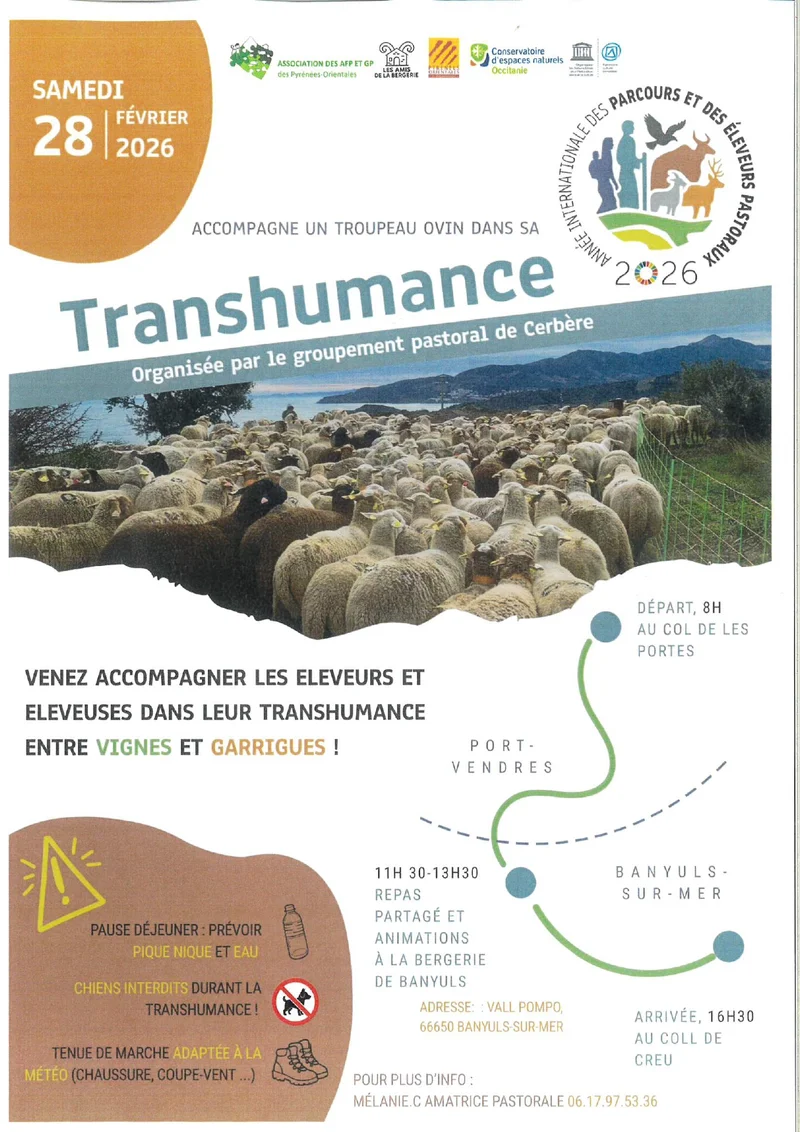 Randonnée Transhumance 2026 (Année Internationale des parcours et des éleveurs pastouraux) · Port-Vendres