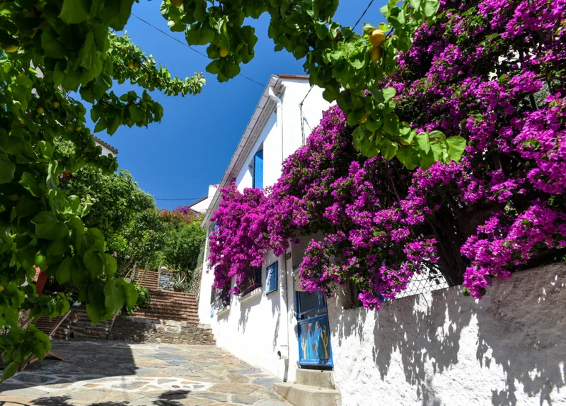 Randonnée Dans les pas d'Aristide · Banyuls-sur-Mer