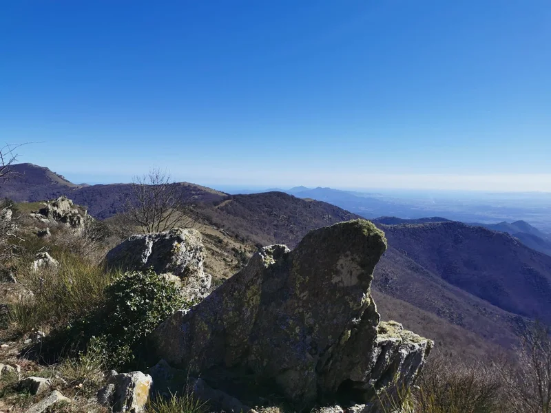 Randonnée De Laroque au Pic Néoulous et au Col de l'Ouillat · Laroque-des-Albères