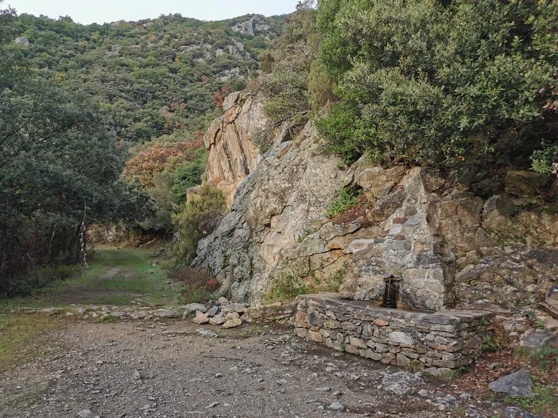 Randonnée Les deux fontaines · Laroque-des-Albères